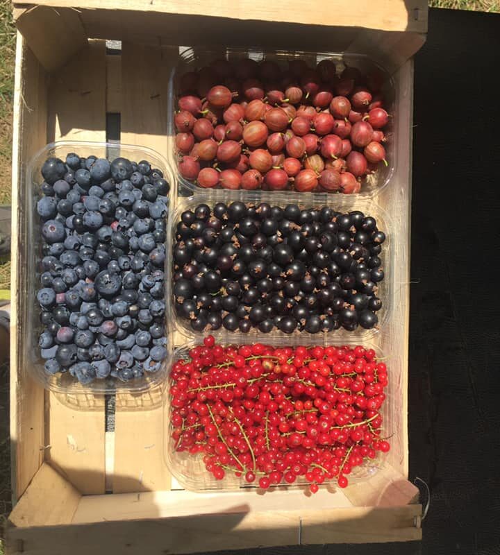 Nos fruits Rixheim