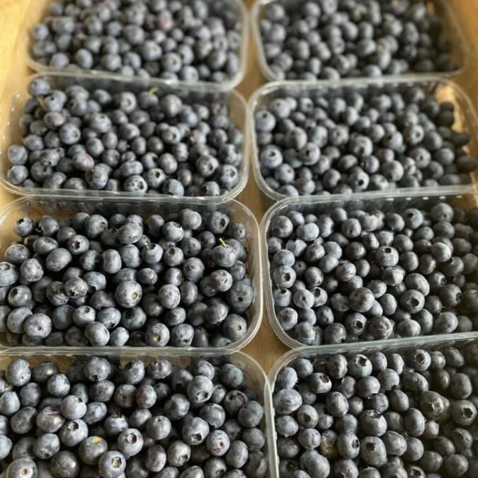 Ferme Tritter : votre producteur de fruits rouges &agrave; Guewenheim pr&egrave;s de Masevaux Saint-Louis 5
